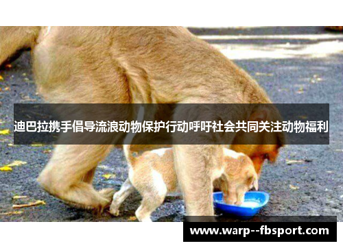 迪巴拉携手倡导流浪动物保护行动呼吁社会共同关注动物福利