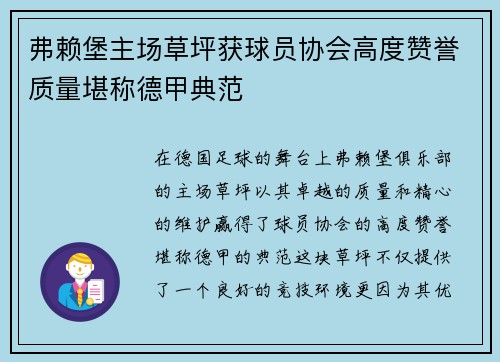 弗赖堡主场草坪获球员协会高度赞誉质量堪称德甲典范 弗赖堡主场草坪获球员协会高度赞誉质量堪称德甲典范